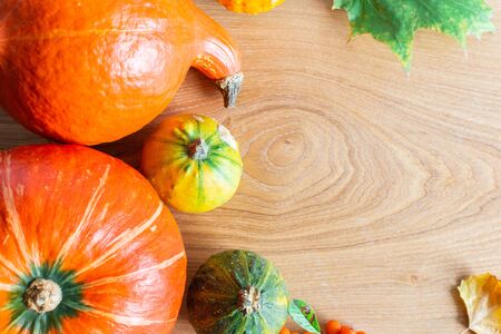 Autumn background with orange pumpkins and leaves of maple, oak and grape and chestnut fruitsの写真素材