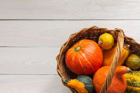 Pumpkins in a wicker basket on a natural white wooden background, autumn backgroundの写真素材