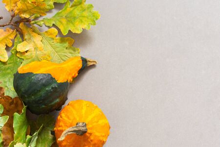 Fallen leaves of trees and orange decorative pumpkins on a gray background, autumn backgroundの写真素材