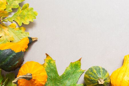 Fallen leaves of trees and orange decorative pumpkins on a gray background, autumn backgroundの写真素材