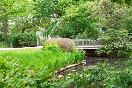 The Tiergarten, walk through the green beautiful park in central Berlin, bridge over the riverの写真素材