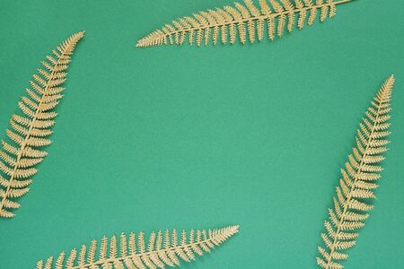 Festive green background with gold decoration , holiday background with glitter shiny golden fern leaves , flat lay, top view, copy spaceの写真素材