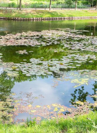 The Tiergarten, walk through the green beautiful park in central Berlinの写真素材
