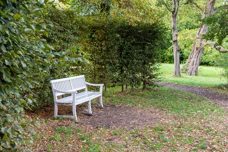 Walking in the palace garden of Charlottenburg on an autumn day, benches for rest , a district of the Charlottenburg-Wilmersdorf boroughの写真素材