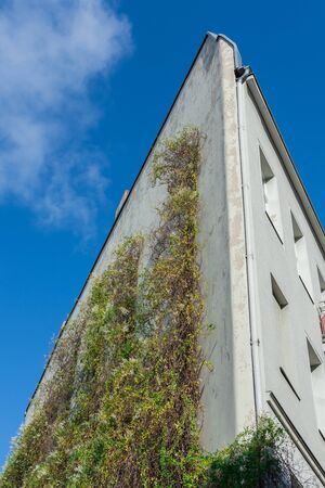 Walking on an autumn day in the district Charlottenburg, beautiful buildingsの写真素材