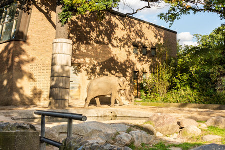 Berlin, Germany- October 7, 2019: Berlin Zoological Garden , elephant houseのeditorial素材