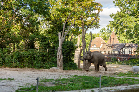 Berlin, Germany- October 7, 2019: Berlin Zoological Garden , elephant houseのeditorial素材