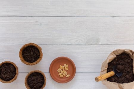 Eco friendly pots for seedlings on a white wooden background, planting pumpkin seeds, small bag with ground and garden trowelの写真素材