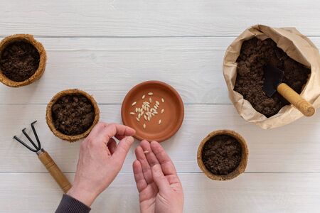 Eco friendly pots for seedlings and small bag with ground and a garden shovel on a white wooden background, female hands with a rakes and seeds , planting cucumber seeds, top viewの写真素材