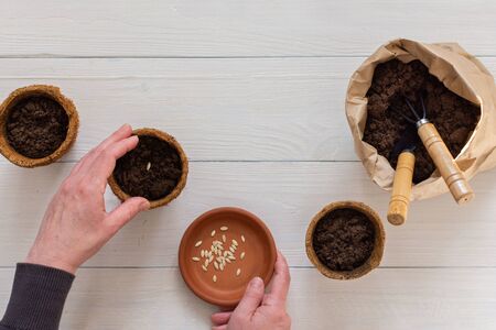 Eco friendly pots for seedlings and small bag with ground and a garden shovel and rakes on a white wooden background, female hands with seeds , planting cucumber seeds, top viewの写真素材
