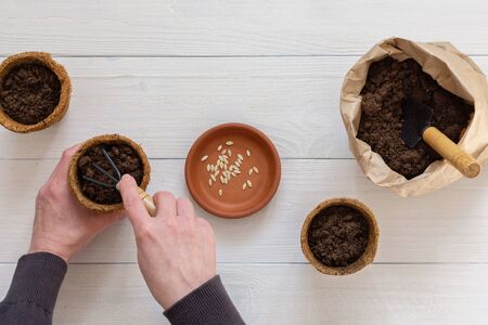 Eco friendly pots for seedlings and small bag with ground and a garden shovel on a white wooden background, female hands with a rakes and seeds , planting cucumber seeds, top viewの写真素材