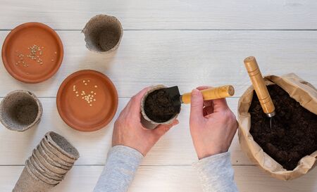 Eco friendly pots for seedlings on a white wooden background, female hands plant seeds, planting tomato and pepper seeds, small bag with ground and trowel and garden shovelの写真素材