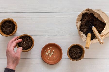 Eco friendly pots for seedlings and small bag with ground and a garden shovel and rakes on a white wooden background, female hands with seeds , planting cucumber seeds, top viewの写真素材