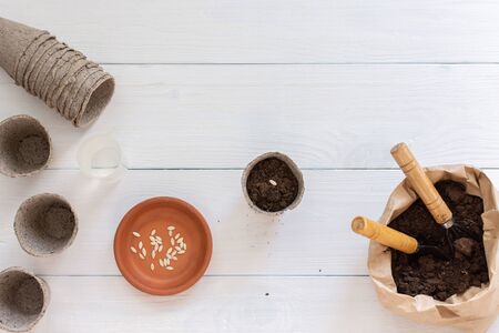 Eco friendly pots for seedlings and small bag with ground and a garden shovel and rakes on a white wooden background, planting cucumber seeds, top viewの写真素材