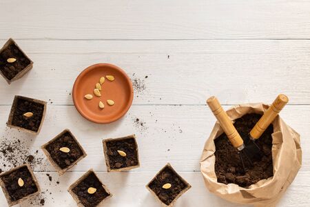 Eco friendly pots for seedlings on a white wooden background, planting pumpkin seeds, small bag with ground and garden trowel and garden shovelの写真素材
