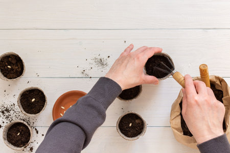 Eco friendly pots for seedlings and small bag with ground and a garden shovel on a white wooden background, female hands with a rakes and seeds , planting cucumber seeds, top viewの写真素材