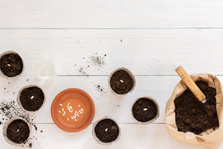 Eco friendly pots for seedlings and small bag with ground and a garden shovel and rakes on a white...