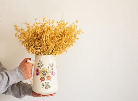 Dry ears of oats in a ceramic pot in female hands on a background of white concrete wall