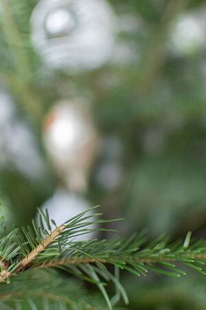 Green fir tree branches with christmas toys, holiday background, happy new year and christmas conceptの写真素材