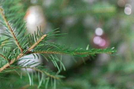 Green fir tree branches with christmas toys, holiday background, happy new year and christmas conceptの写真素材