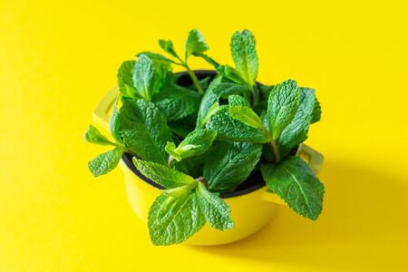 Fresh green mint leaves in a bowl on a yellow backgroundの写真素材