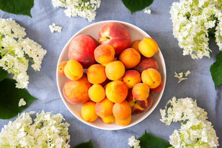Vase of flowers viburnum opulus Roseum and ripe juicy apricots and peaches , top viewの写真素材