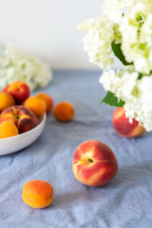 Vase of flowers viburnum opulus Roseum and ripe juicy apricots and peachesの写真素材