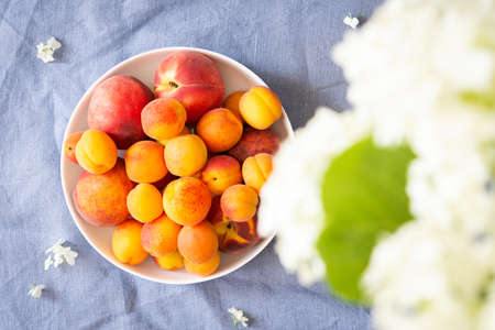 Vase of flowers viburnum opulus Roseum and ripe juicy apricots and peaches , top viewの写真素材