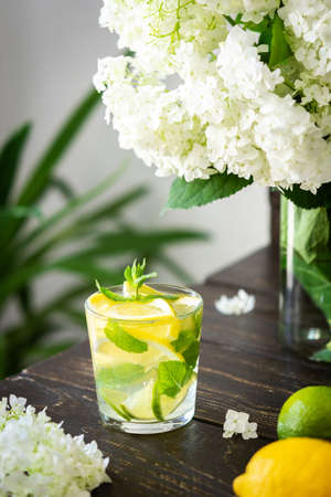 Refreshing drink with lemon, lime and mint, lemonade with iceの写真素材
