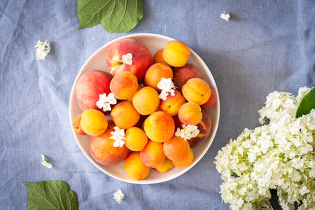 Vase of flowers viburnum opulus Roseum and ripe juicy apricots and peaches , top viewの写真素材
