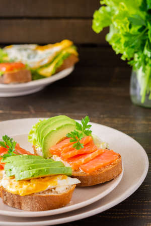 Different delicious sandwiches for breakfast, bread with cheese, avocado and trout, sandwich with egg and parsleyの写真素材