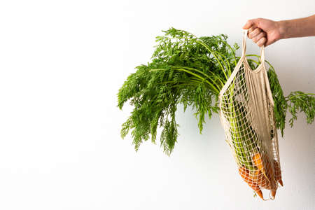 Male hand with carrot in a food grid on a white wall background, a farmer holds freshly picked vegetables with green leaves, fresh harvestの写真素材