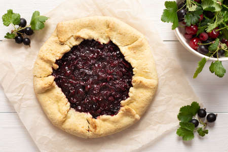 Open pie from shortcrust pastry with black currant, delicious jostaberry galette on white backgroundの写真素材
