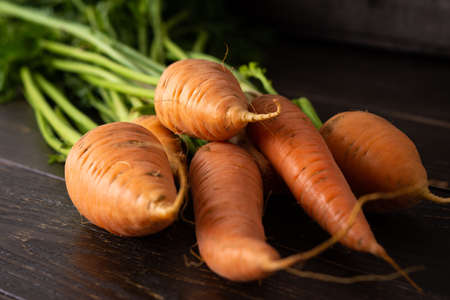 Fresh harvest carrot, carrot with green tops on brown wooden background close-upの写真素材