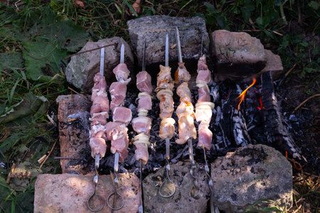 Cooking meat in the heat from the hot coals, cooking food in camping, meat kebab in nature