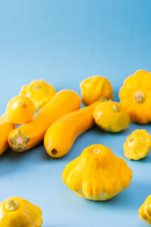 Fresh harvest of zucchini and pattison, yellow squash and pattison on blue backgroundの写真素材