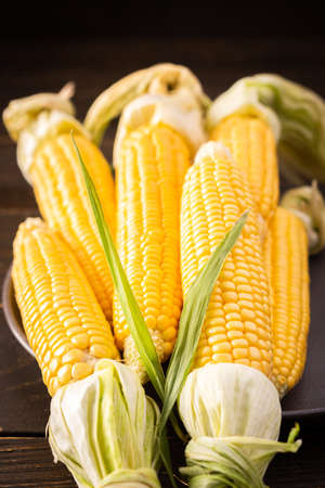 Fresh crop of corn, organic corn cob with leaves on dark wooden backgroundの写真素材