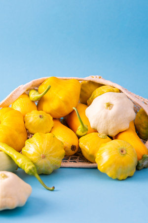 Fresh harvest of zucchini and pattison, yellow squash and pattison on blue backgroundの写真素材