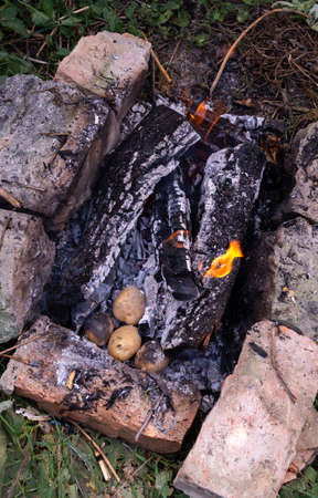 Baking potatoes in coals from the fire, cooking on a hikeの写真素材