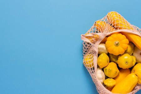 Fresh harvest of zucchini and pattypan squash, yellow squash and pattison in a food grid on blue backgroundの写真素材