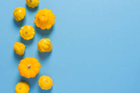 Fresh harvest of zucchini and pattypan squash, yellow squash and pattison on blue backgroundの写真素材