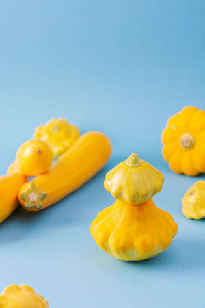 Fresh harvest of zucchini and pattypan squash, yellow squash and pattison on blue backgroundの写真素材