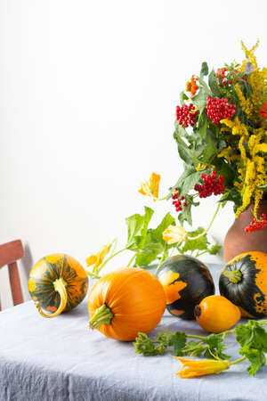 Beautiful bouquet of ragweeds, zinnia and branches of viburnum in a clay pot, fresh harvest of pumpkins on a table against a white wallの写真素材