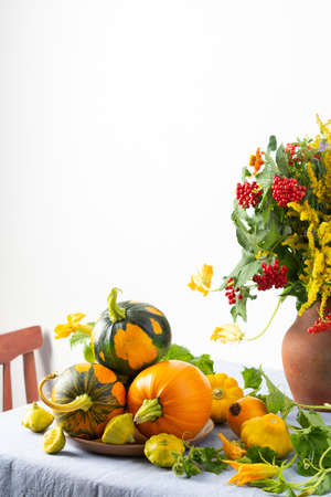Beautiful bouquet of ragweeds, zinnia and branches of viburnum in a clay pot, fresh harvest of pumpkins on a table against a white wallの写真素材