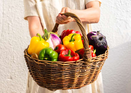 Woman holding a wicker basket with vegetables, fresh autumn harvest of organic vegetables, bell peppers with tomatoes and eggplantの写真素材
