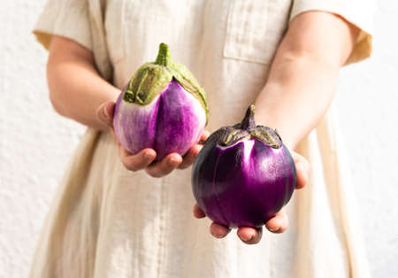 Woman holding purple round eggplant in her hands, fresh organic healthy vegetablesの写真素材