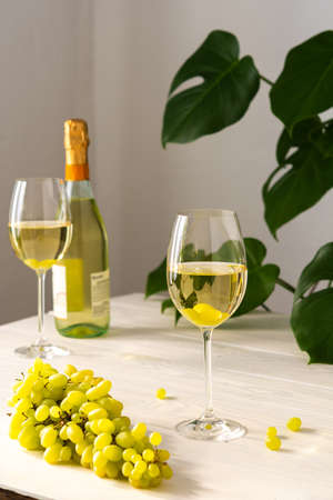 Two glasses with white wine and a bottle on a white wooden background, home flower Monsteraの写真素材