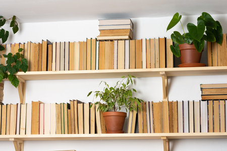 Light wooden bookshelves with hardback overturned books in white interior, indoor flowers on the...