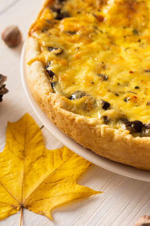 Quiche pie with mushrooms and cheese, autumn background with fallen maple and oak leaves, pine cones and hazelnutsの写真素材