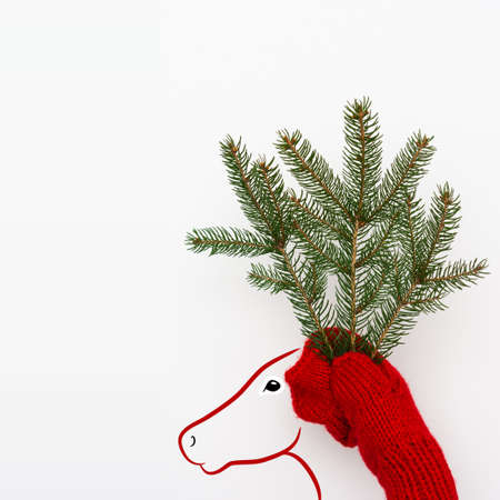 Hands in a knitted red mitten holds a spruce branch isolated on white background, photo of a mitten with branches and a painted deer faceの写真素材